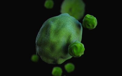 Why Biofilm Can Threaten Your Greenhouse Irrigation System