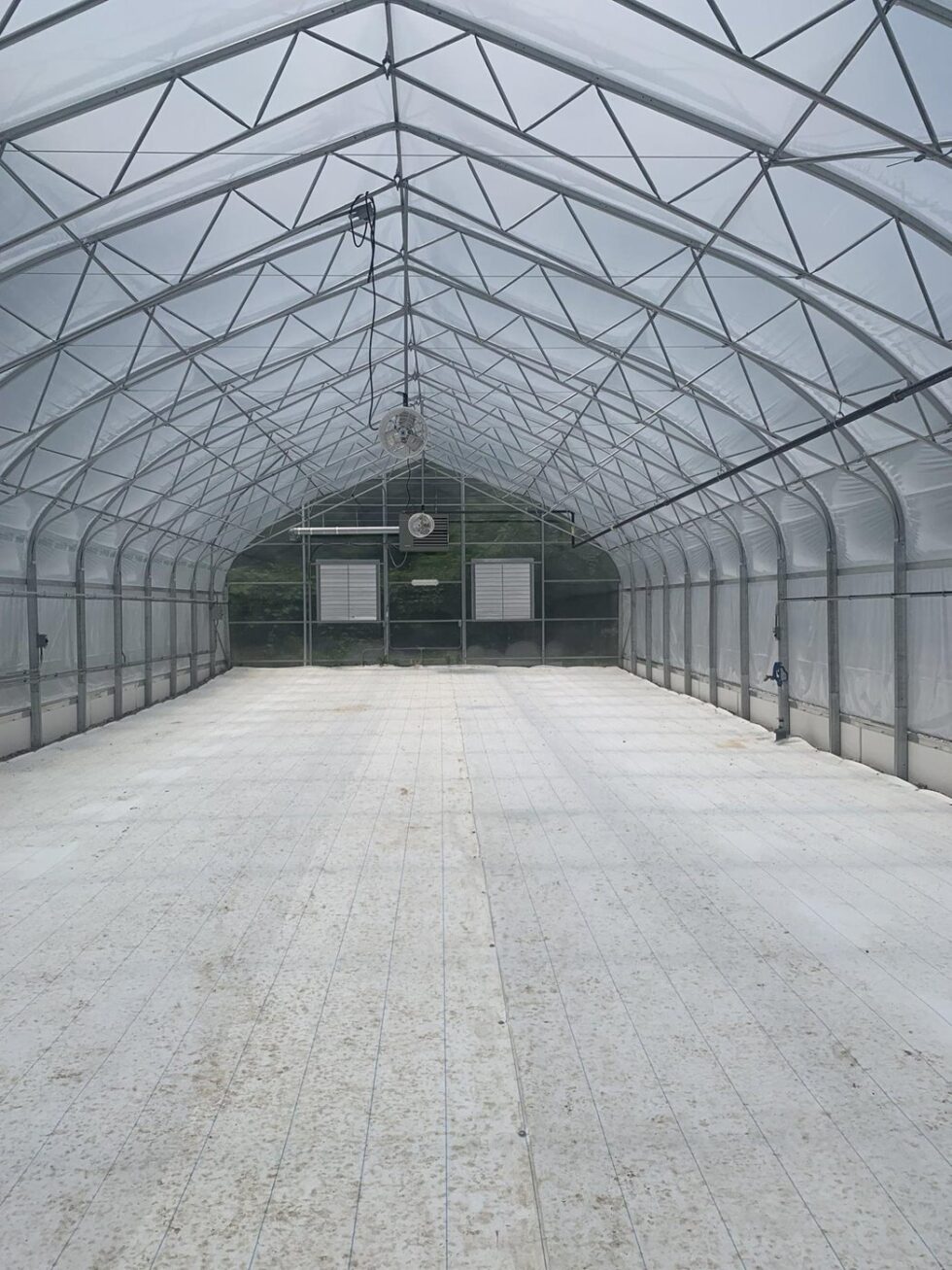 Howlett greenhouse interior