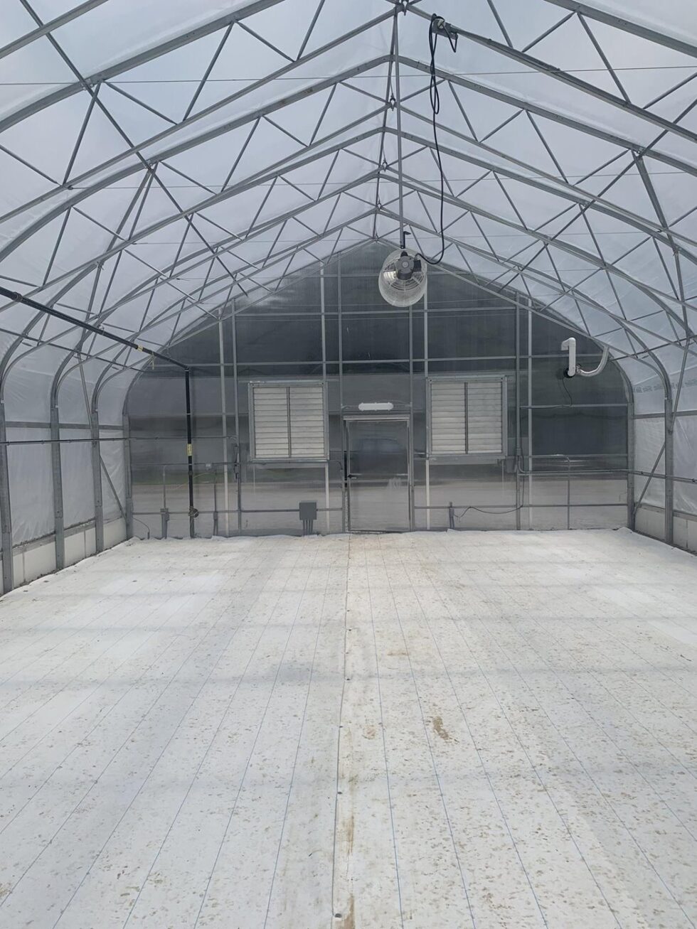 Howlett greenhouse interior