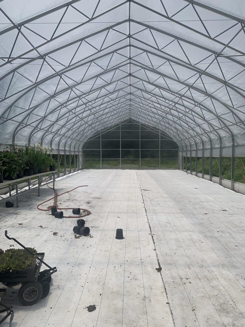 Howlett greenhouse interior