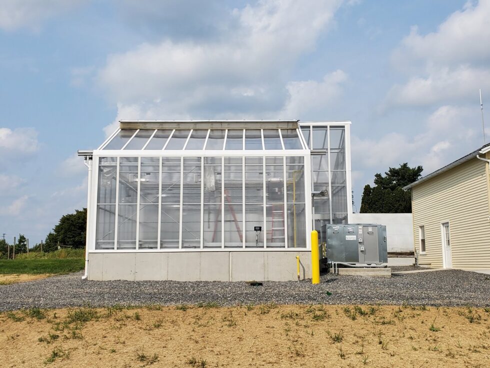 Long greenhouse exterior