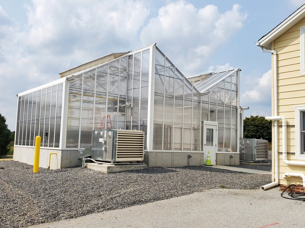 Long greenhouse exterior