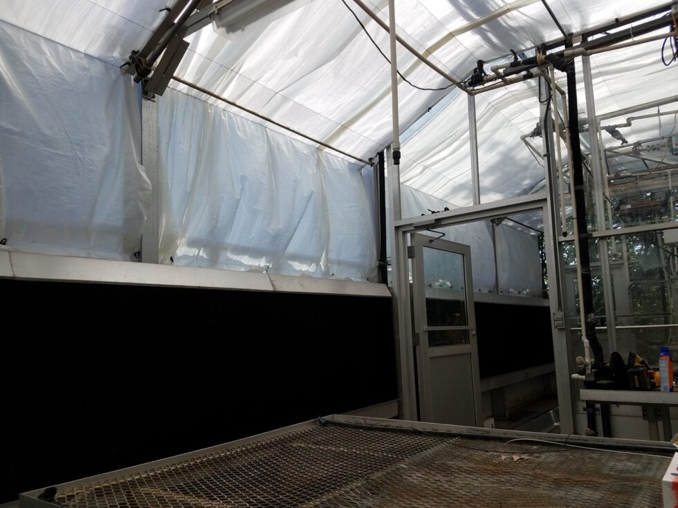 Morehouse greenhouse construction
