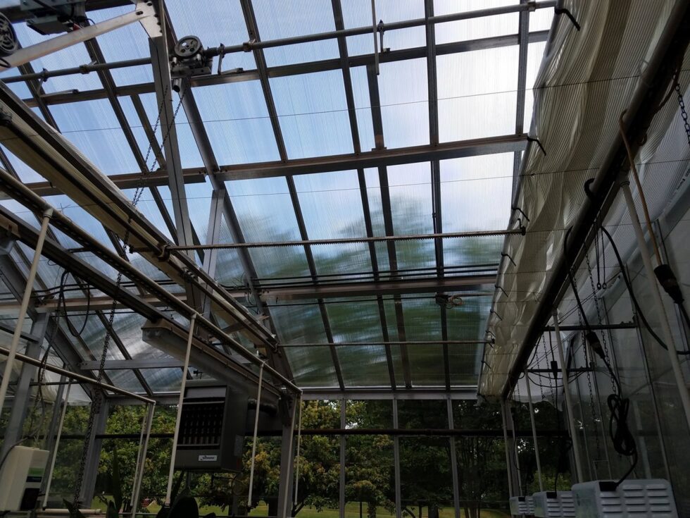 Morehouse greenhouse construction interior