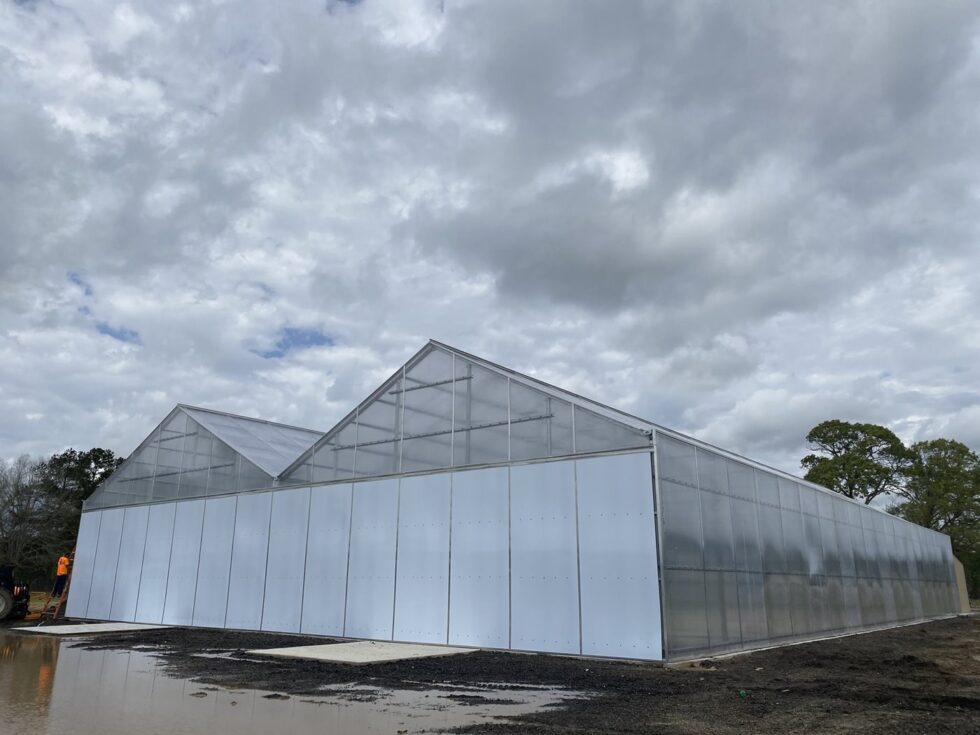 oscity greenhouse construction