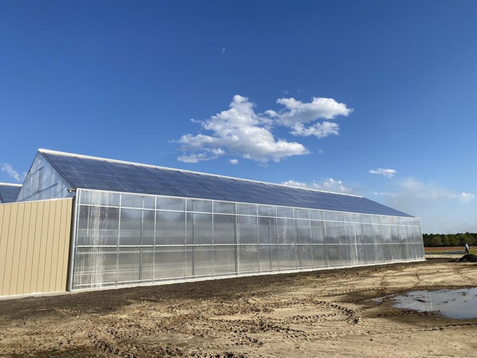 oscity greenhouse construction