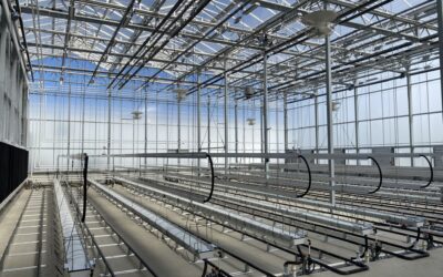 Greenhouse Efficiency: 25 Action Items for Tomorrow’s Growers