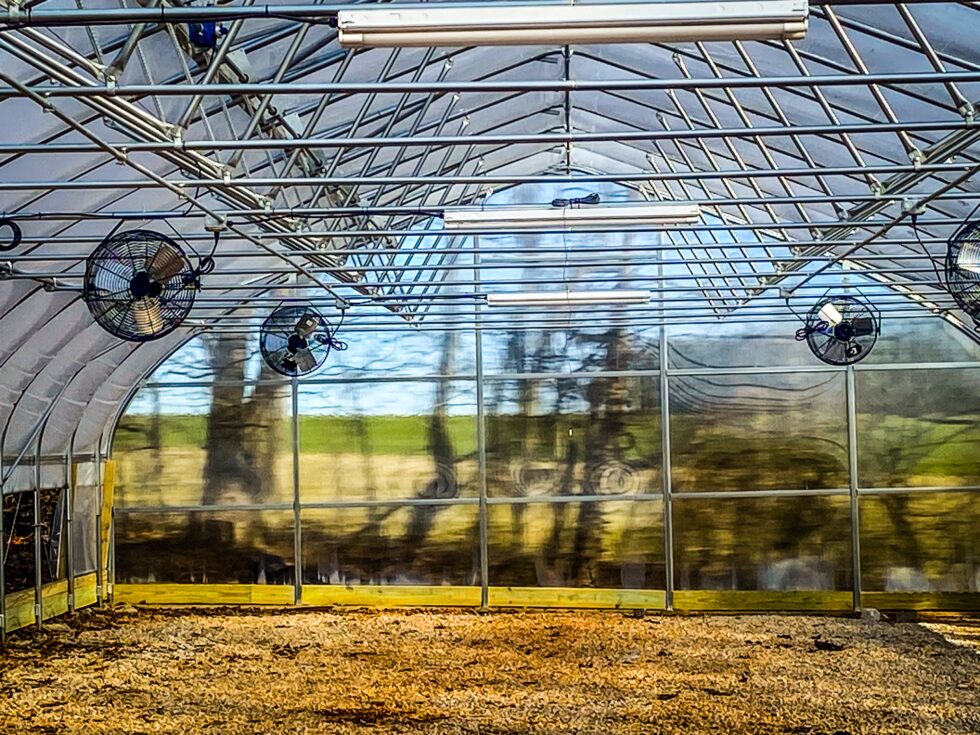 Hickory Hills Tornado Damage Renovation by LLK Greenhouse Solutions