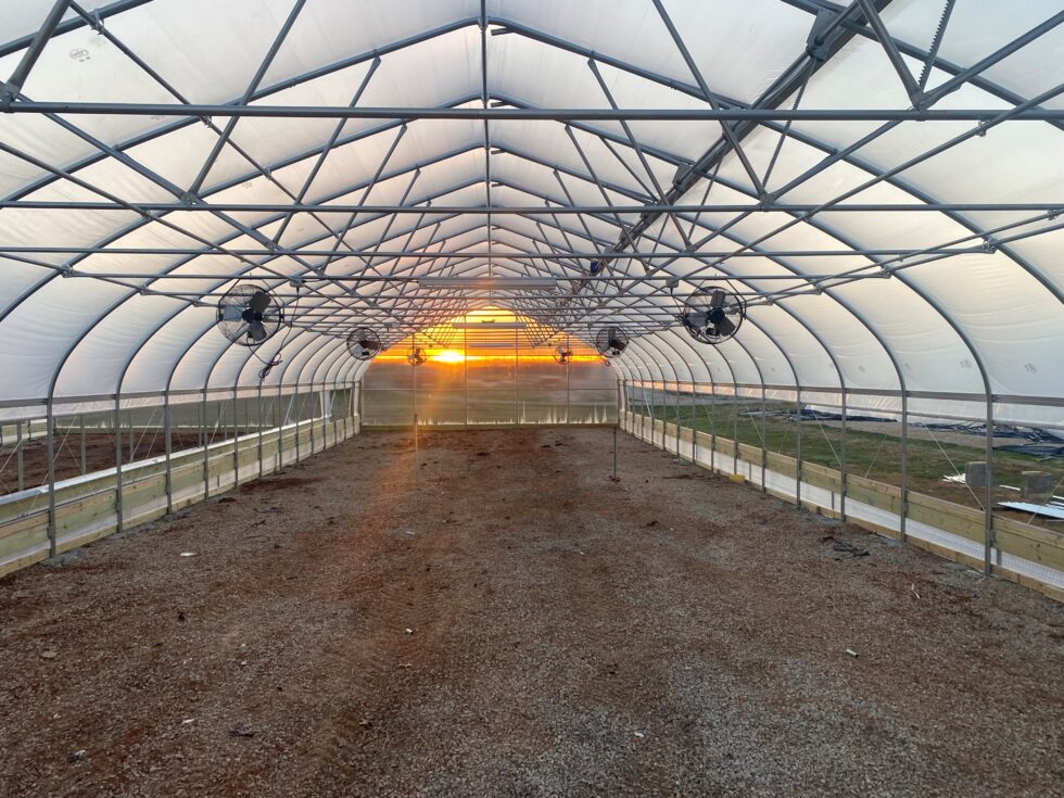 Hickory Hills Tornado Damage Renovation by LLK Greenhouse Solutions