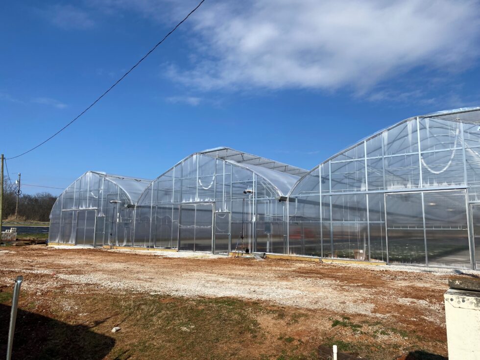 Hickory Hills Tornado Damage Renovation by LLK Greenhouse Solutions