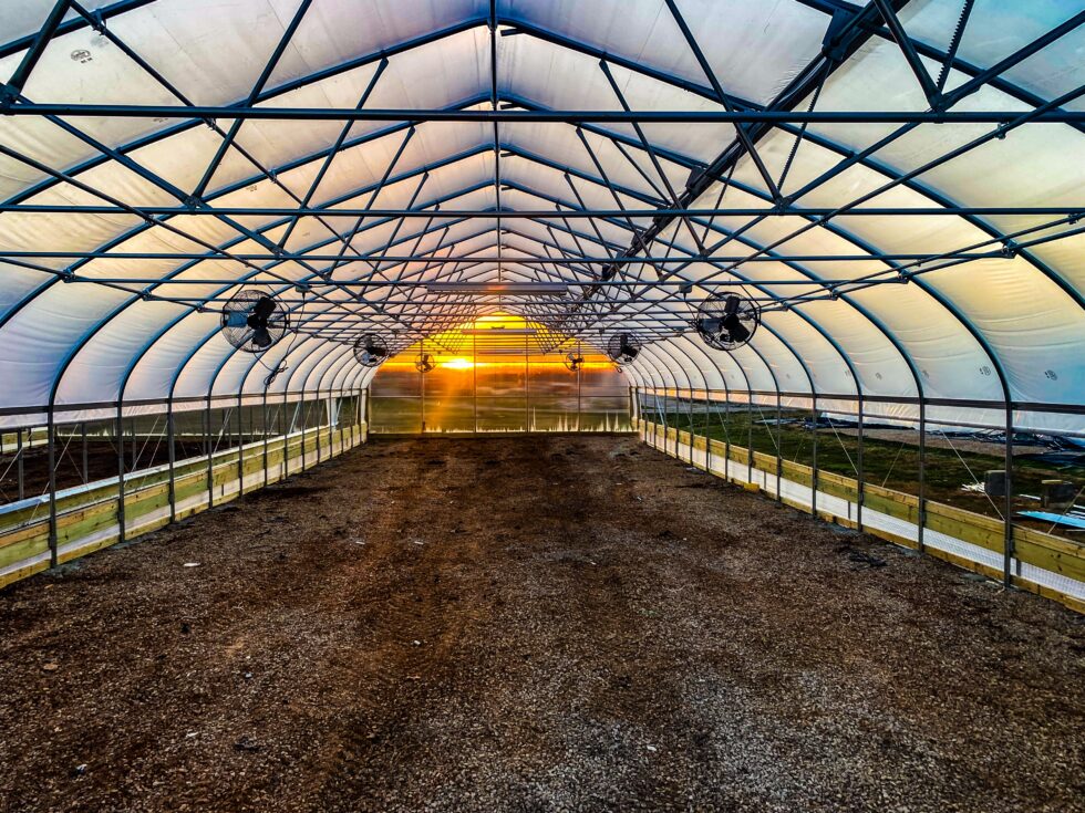 Interior view of a high-tunnel poly-film greenhouse featuring ventilation fans at Hickory Hill Greenhouses by LLK Greenhouse Solutions