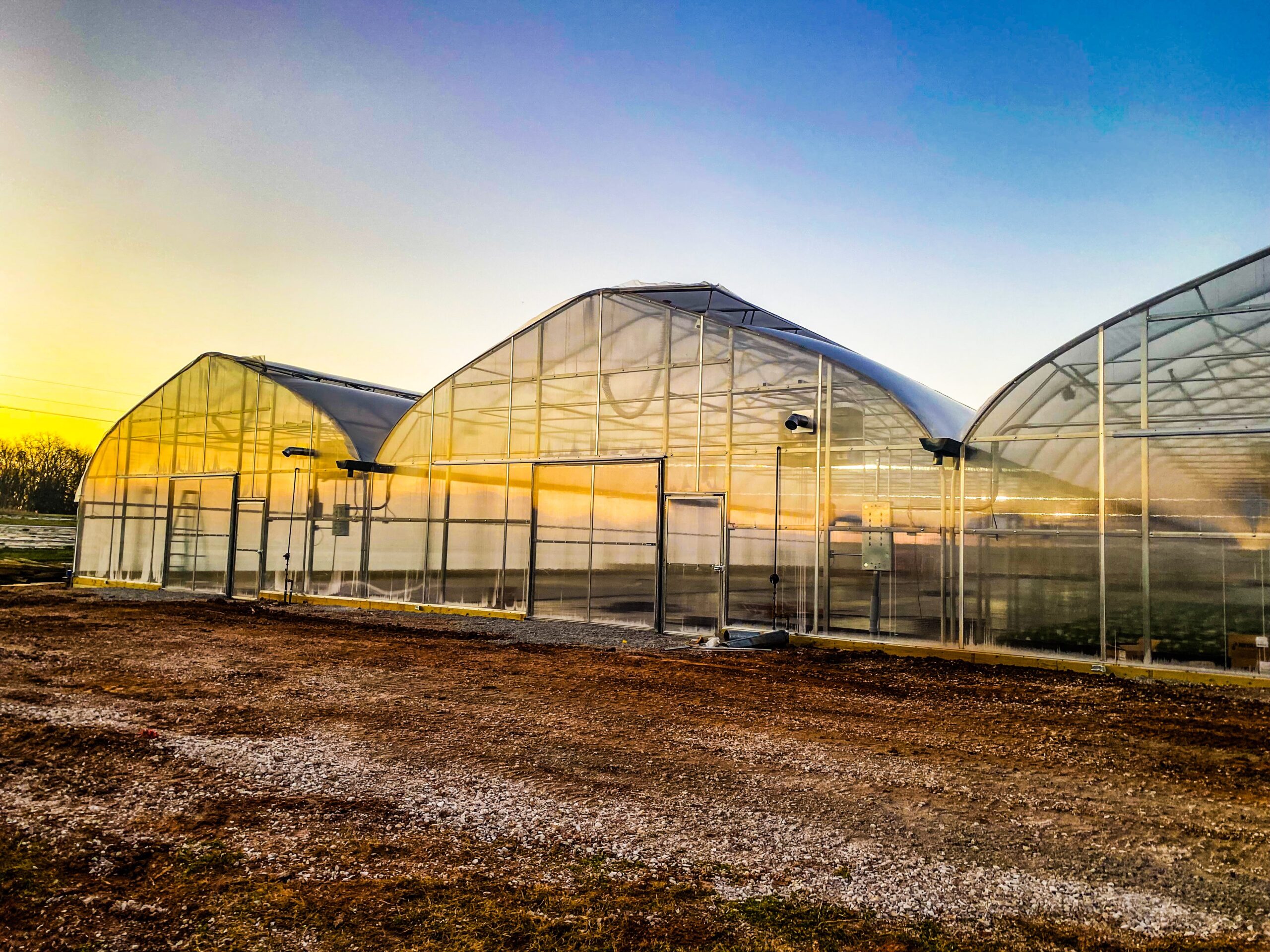 Hickory Hill Greenhouses LLK Greenhouse Solutions