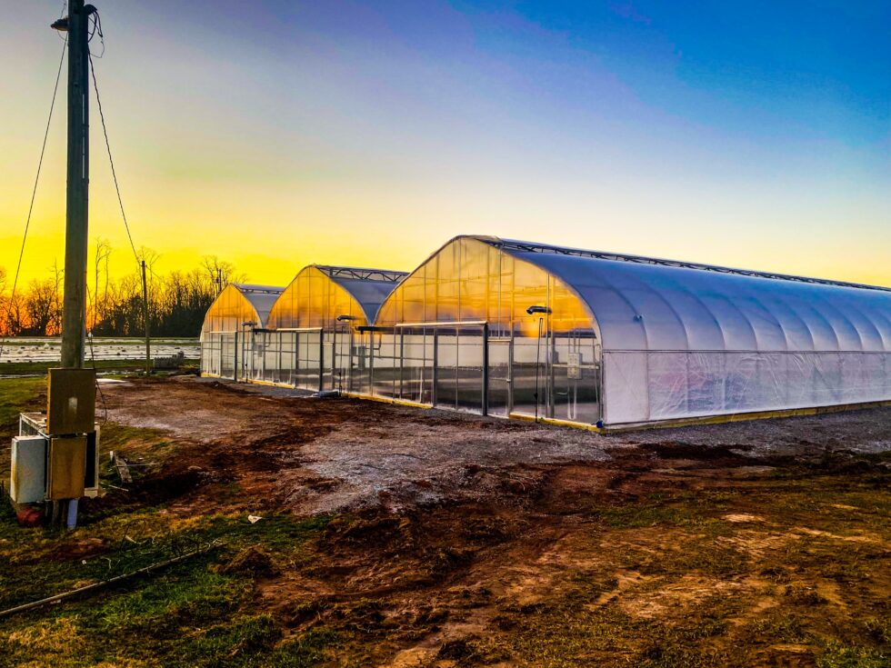 Hickory Hills Tornado Damage Renovation by LLK Greenhouse Solutions