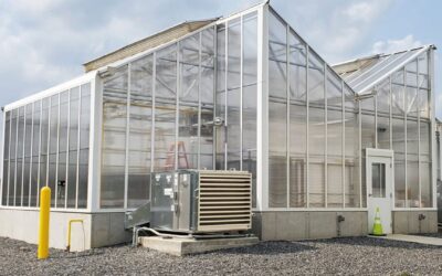 Choosing the Right Greenhouse Environmental Control Systems