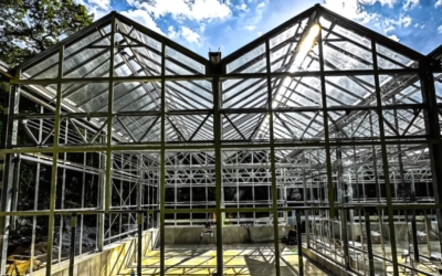 Commercial vs. Institutional: How Your Greenhouse Type Affects Layout
