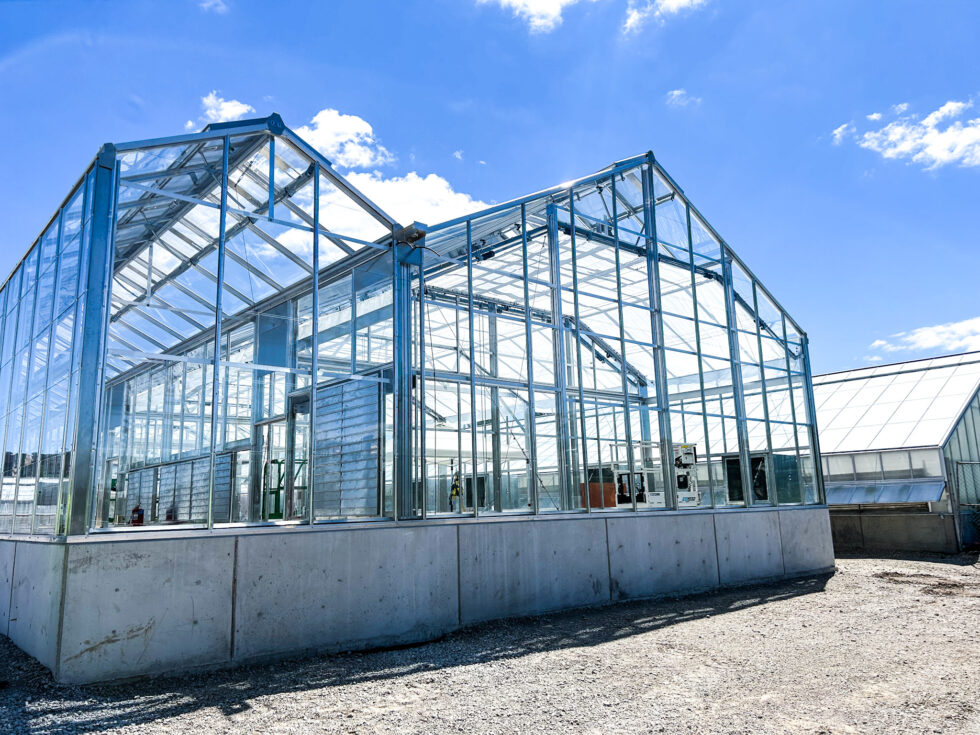 MSU-commercial greenhouse installation under construction by LLK Greenhouse Solutions