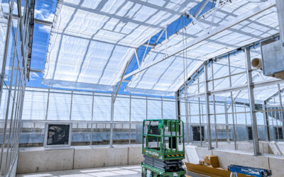 Sidewall Height and the Chain Reaction of Smarter Greenhouse Design