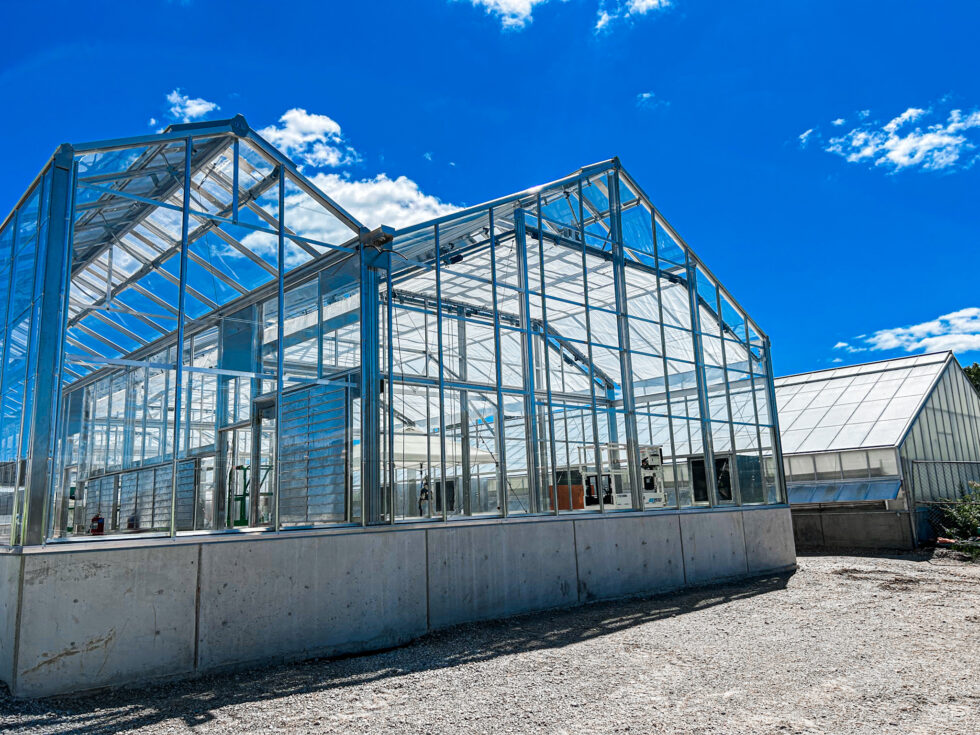 MSU-commercial greenhouse installation under construction by LLK Greenhouse Solutions