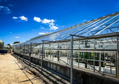 Michigan State University: Plant Sciences Greenhouse Project: In Progress