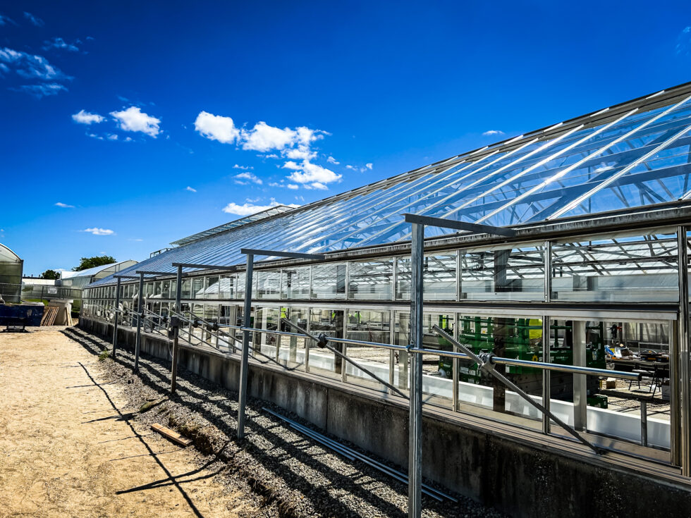 Exterior view of a gutter-connect glass research greenhouse facility construction at Michigan State University by LLK Greenhouse Solutions