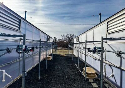 Washington State University : Abelson and Steffan Greenhouse Renovations