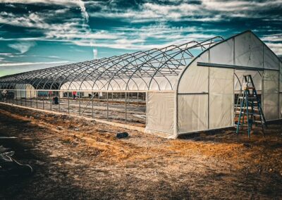 Sells Plant Company: New Greenhouse Build (Damaged from Winter Storms)