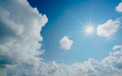 Greenhouse Energy Curtains: Installation Tips & Considerations