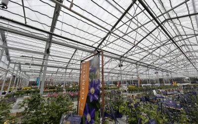 Start with the End in Mind: A Greenhouse Design Playbook for Smart Operators