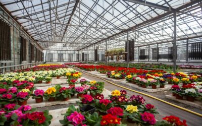 Out of Reach, Out of Mind: The Most Critical Greenhouse Components Are Often the Least Accessible