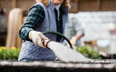Smarter Water Treatment and Reuse Strategies for Modern Greenhouses