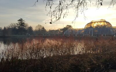 The True Cost of Shorter Days: Balancing Supplemental Lighting with ROI