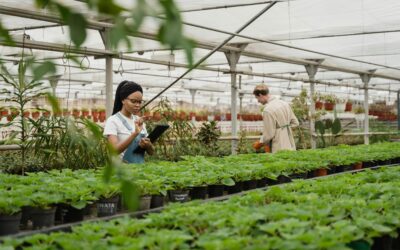 Why You Should Decide on Automation Before You Break Ground
