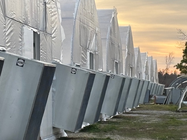 Jones Greenhouses & Berry Farm