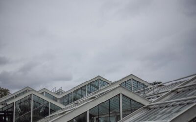 The Hidden Costs of Building a Greenhouse Without a Plan
