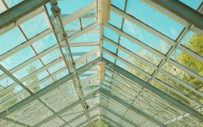 Why Maintenance Is Often Overlooked in Greenhouse Design Plans (And How to Fix That)